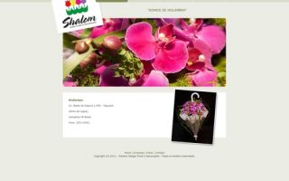 Shalom Design Floral